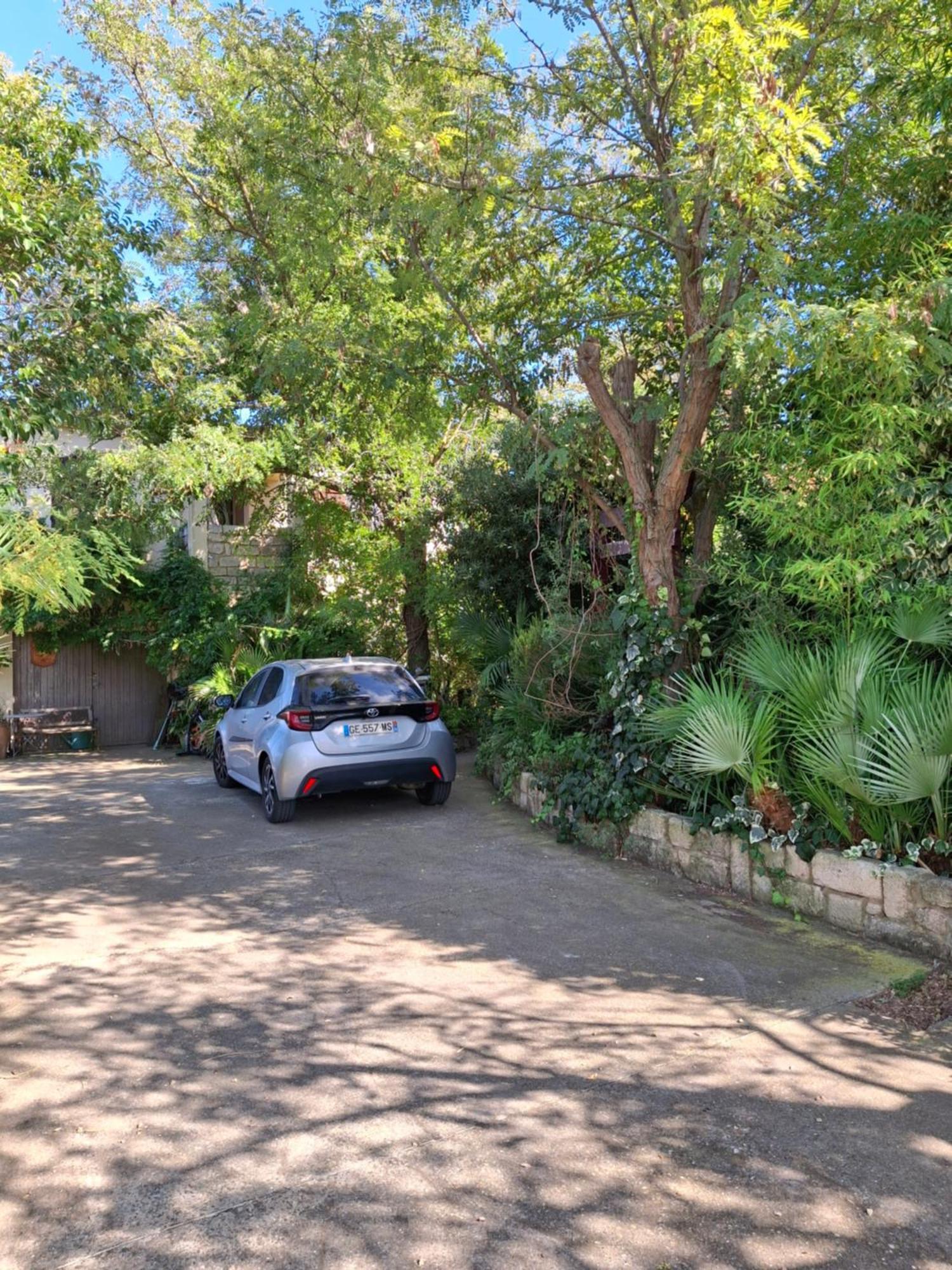 Jardin Et Bambous, Studio Cosy, Classe 2 Etoiles Marseillan (Herault) Exterior foto