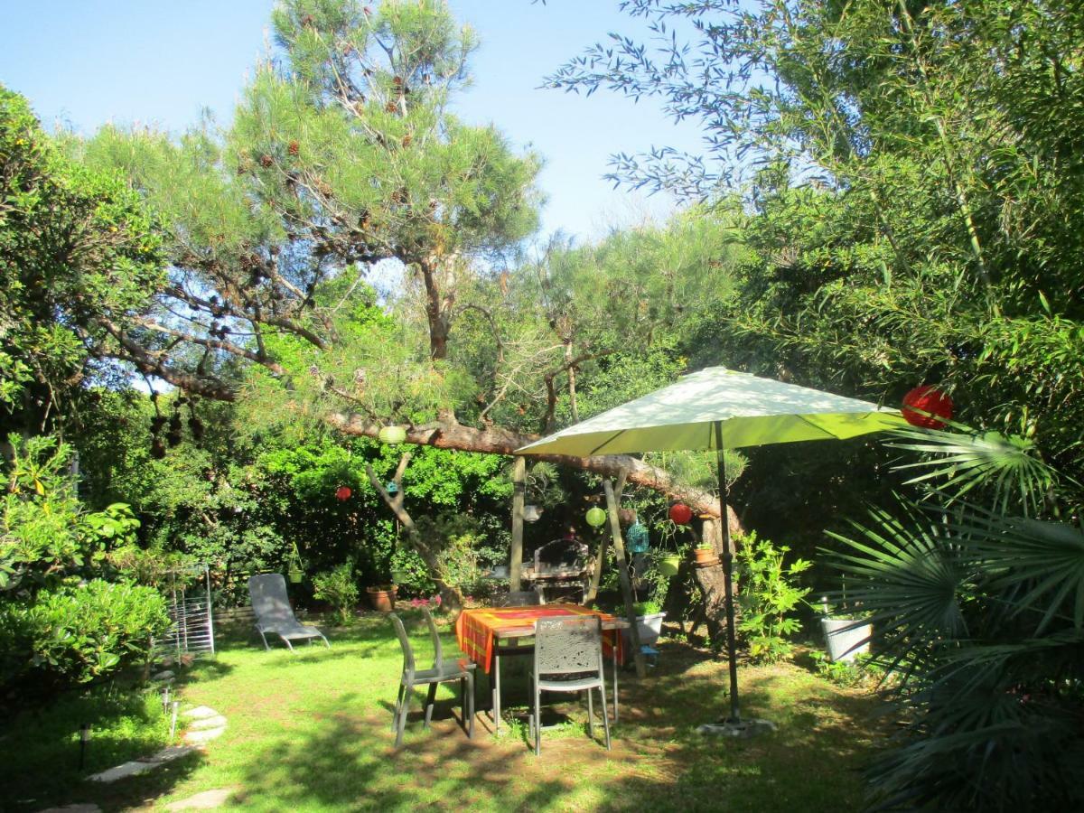Jardin Et Bambous, Studio Cosy, Classe 2 Etoiles Marseillan (Herault) Exterior foto