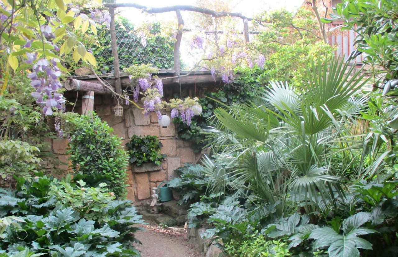 Jardin Et Bambous, Studio Cosy, Classe 2 Etoiles Marseillan (Herault) Exterior foto