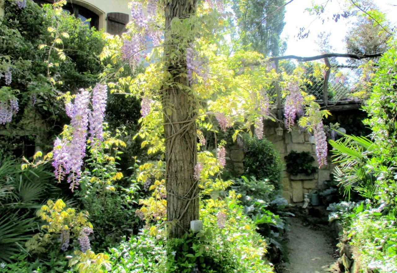 Jardin Et Bambous, Studio Cosy, Classe 2 Etoiles Marseillan (Herault) Exterior foto