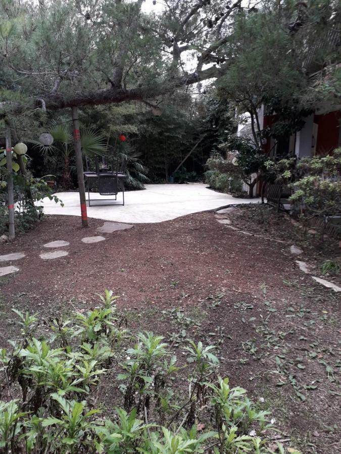 Jardin Et Bambous, Studio Cosy, Classe 2 Etoiles Marseillan (Herault) Exterior foto