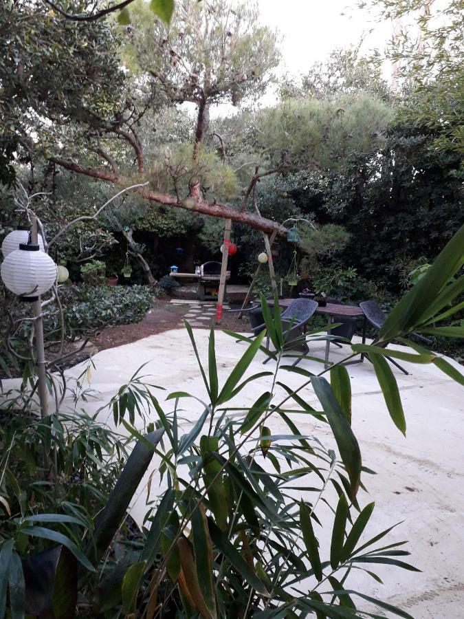 Jardin Et Bambous, Studio Cosy, Classe 2 Etoiles Marseillan (Herault) Exterior foto