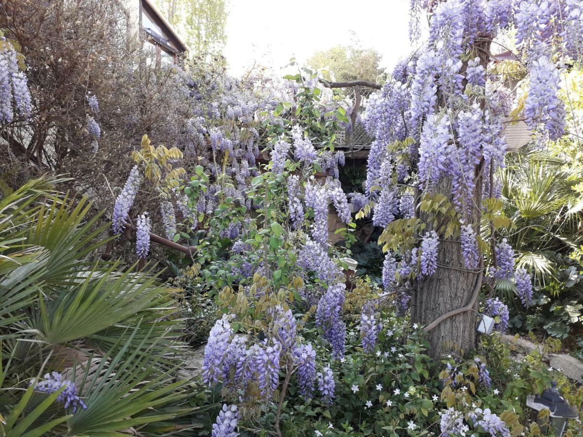 Jardin Et Bambous, Studio Cosy, Classe 2 Etoiles Marseillan (Herault) Exterior foto