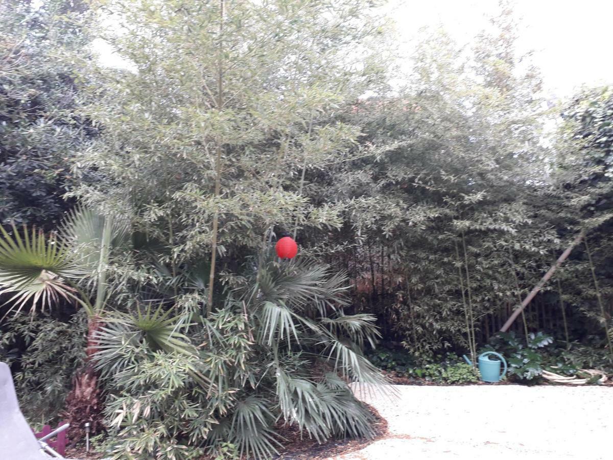 Jardin Et Bambous, Studio Cosy, Classe 2 Etoiles Marseillan (Herault) Exterior foto